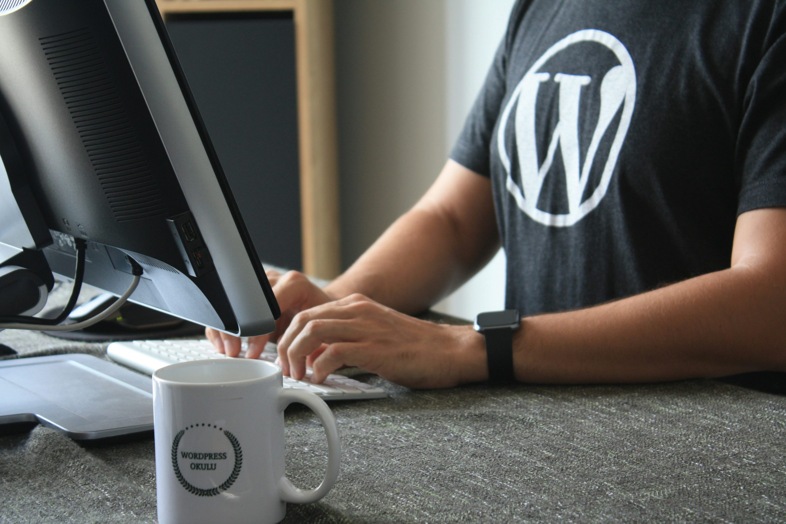 WordPress Development course at TerraSpark Institute